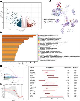Role of copper ionophore–induced death in immune microenvironment and clinical prognosis of ccRCC: An integrated analysis